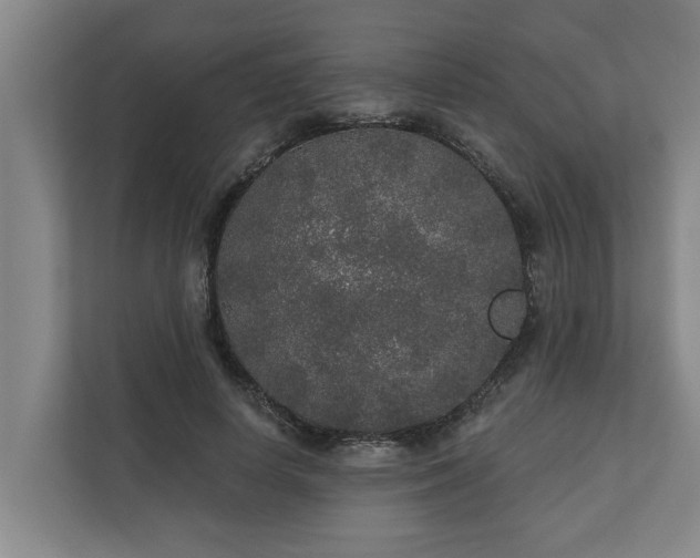 X0000110760642200906221123
