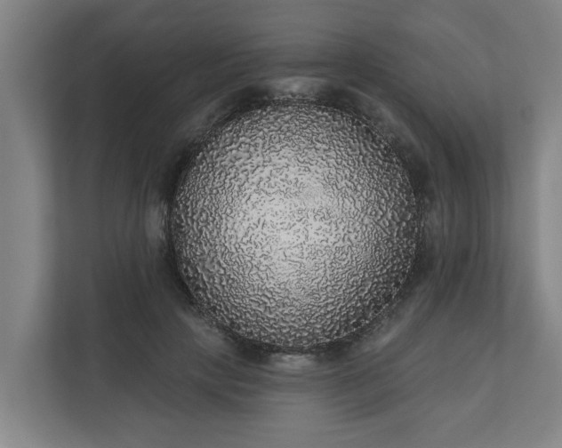 X0000110760649200906221123