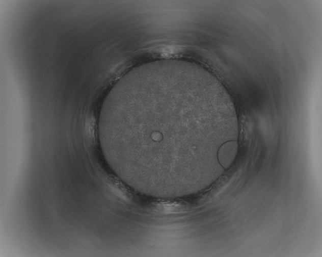X0000110760650200906221123