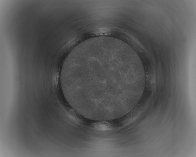 X0000110760652200906221123