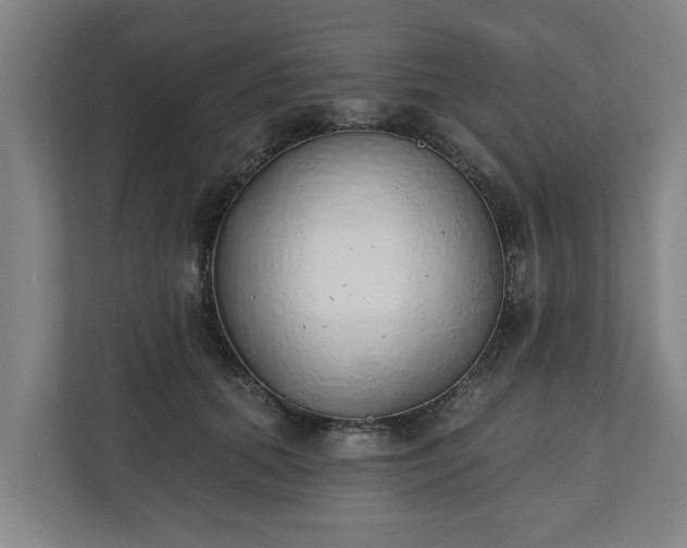 X0000110760655200906221123