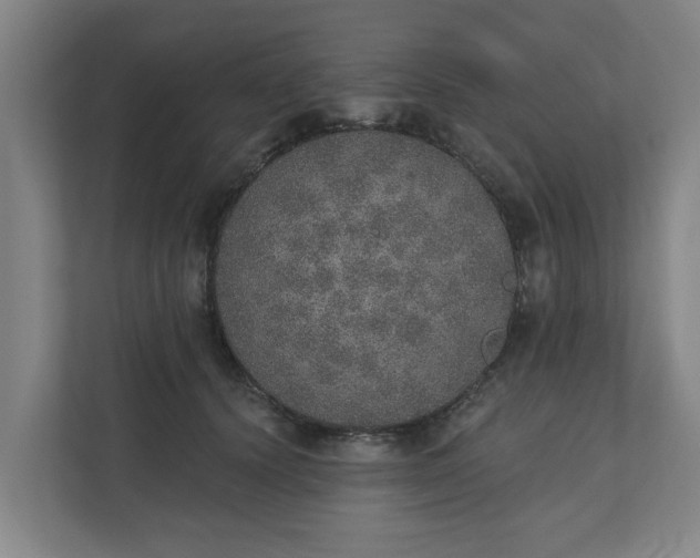 X0000110760656200906221123