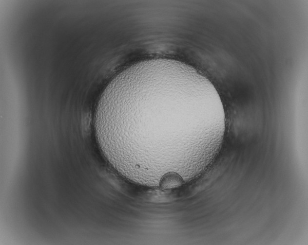 X0000110760660200906221123