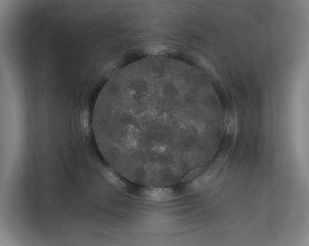 X0000110760670200906221123