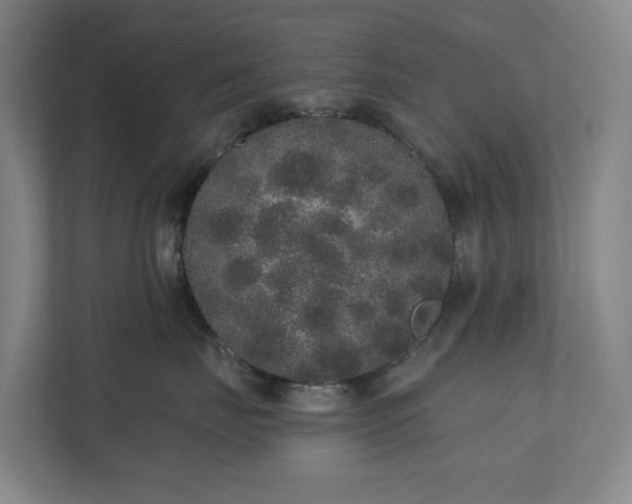 X0000110760671200906221123
