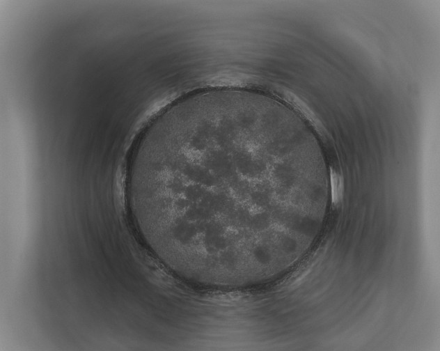 X0000110760675200906221122