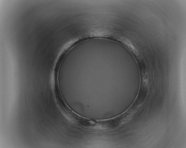 X0000110760678200906221122