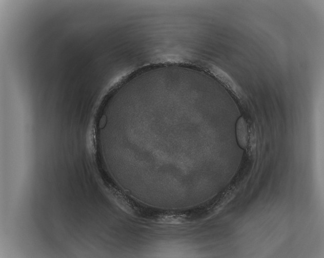 X0000110760680200906221122