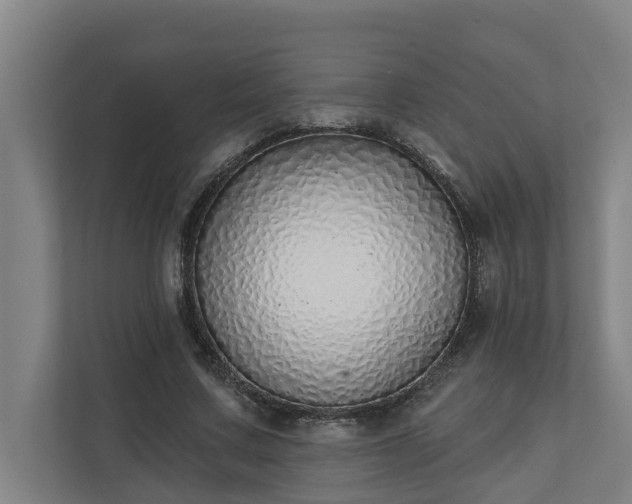 X0000110760683200906221122