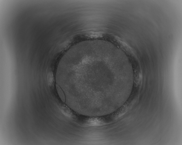 X0000110760704200906221122