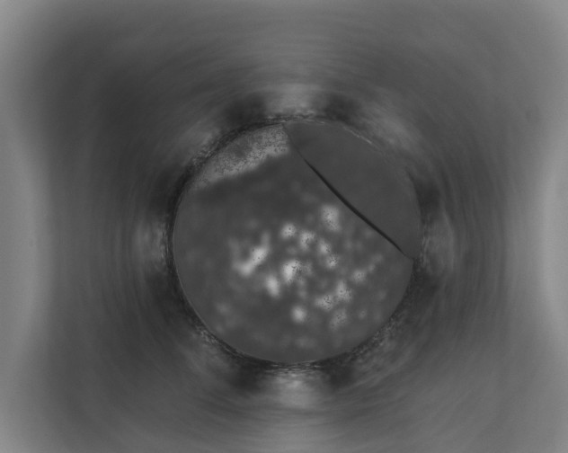 X0000110760708200906221122