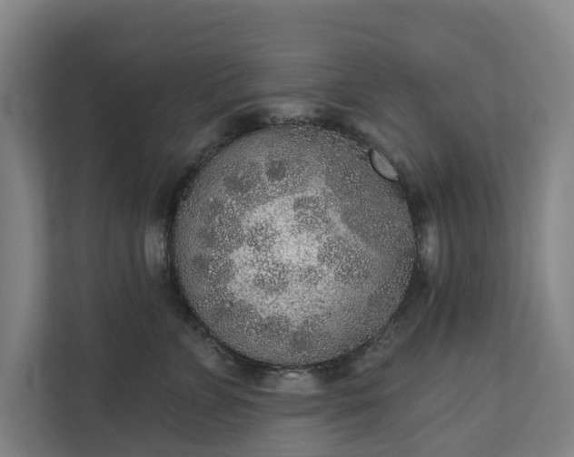 X0000110760715200906221122