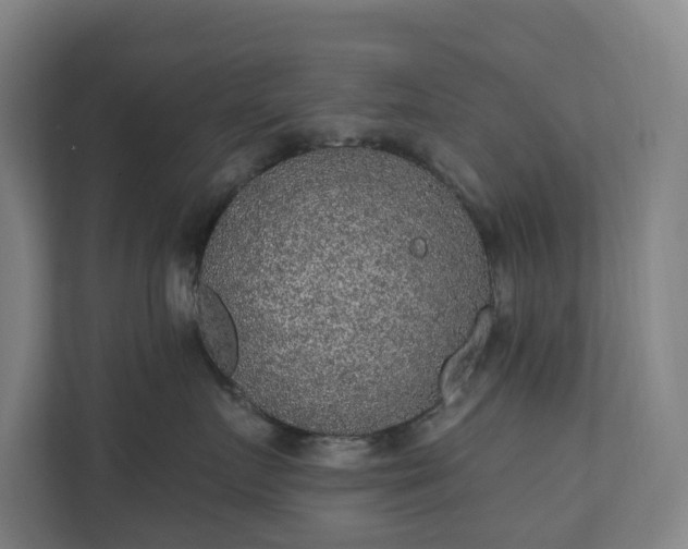 X0000110760719200906221122