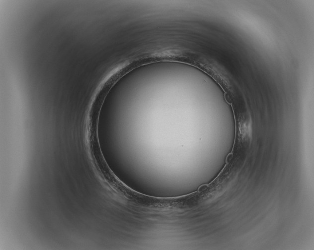 X0000110760724200906221121