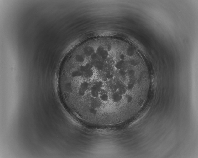 X0000110760725200906221121