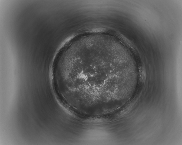 X0000110760726200906221121