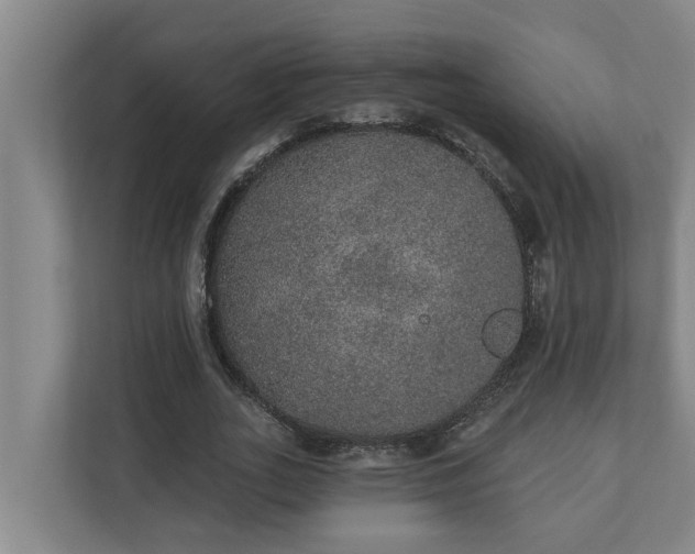 X0000110760727200906221121