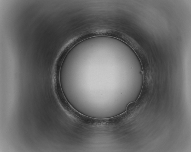 X0000110760728200906221121