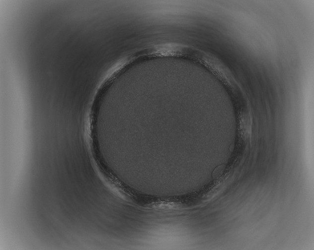 X0000110760730200906221121