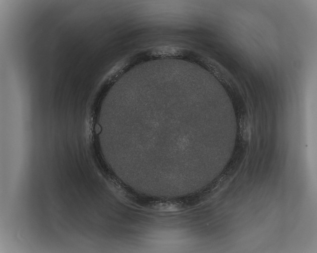 X0000110760735200906221121