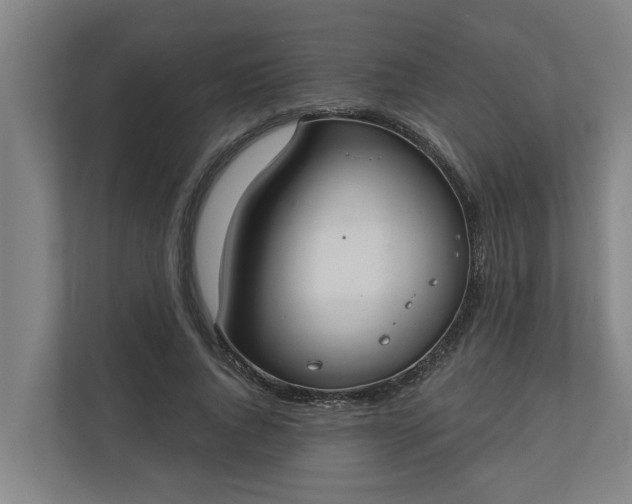 X0000110760736200906221121