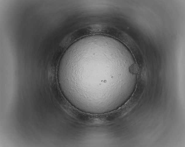X0000110760737200906221121