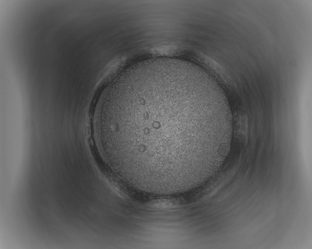 X0000110760738200906221121