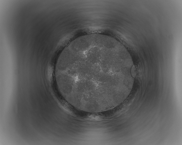 X0000110760742200906221122