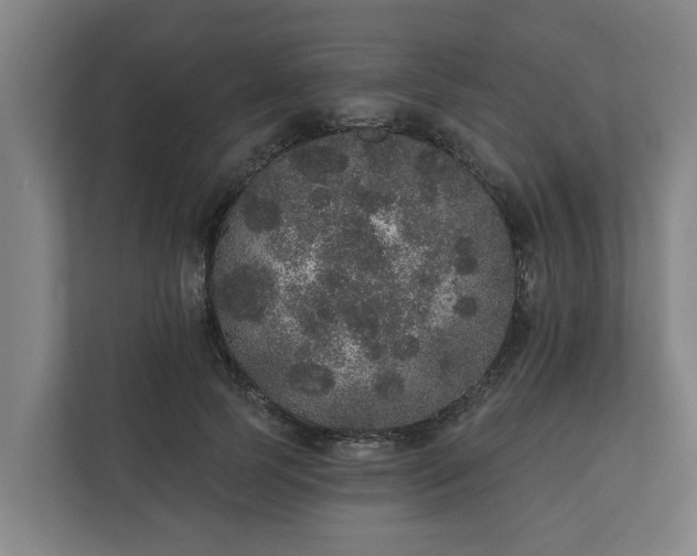 X0000110760745200906221122