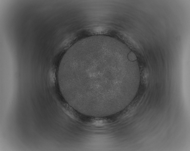 X0000110760746200906221122