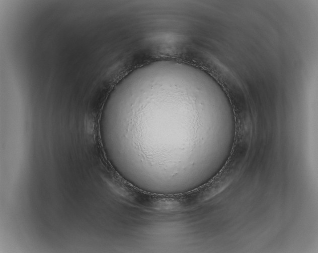X0000110760749200906221122