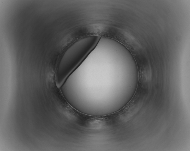 X0000110760750200906221122