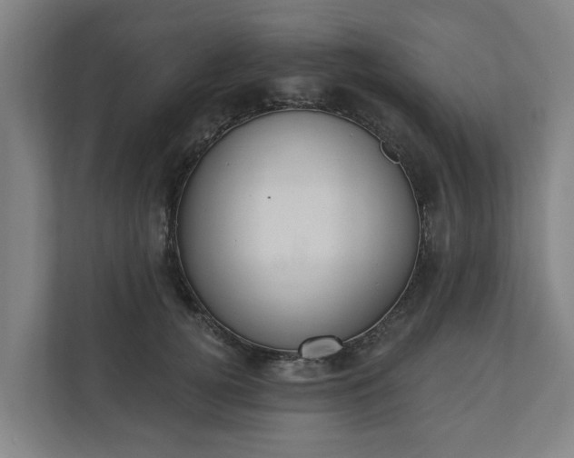 X0000110760752200906221122