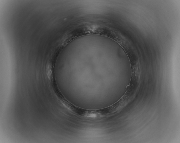 X0000110760754200906221122