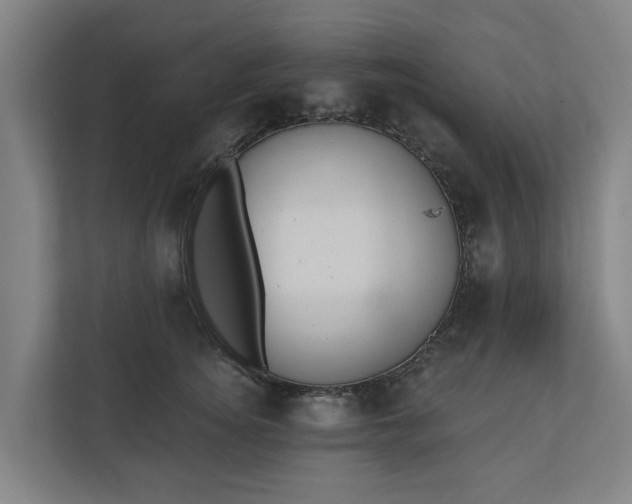 X0000110760756200906221122