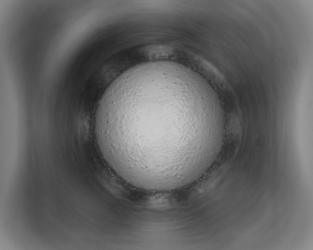 X0000110760761200906221122