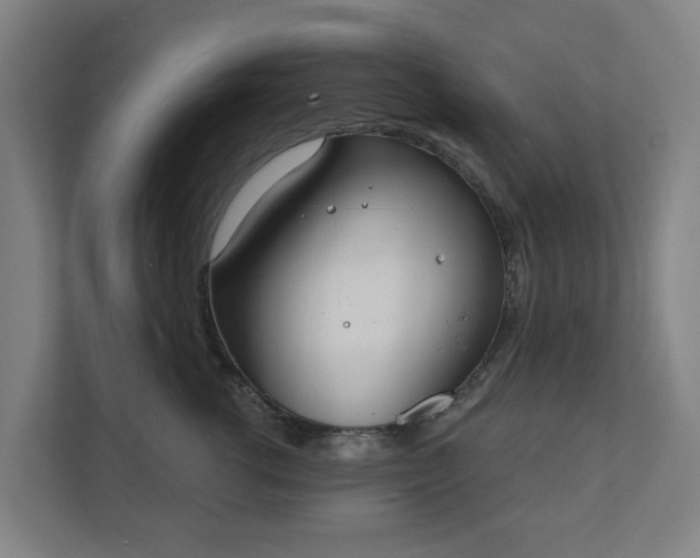 X0000110760762200906221122