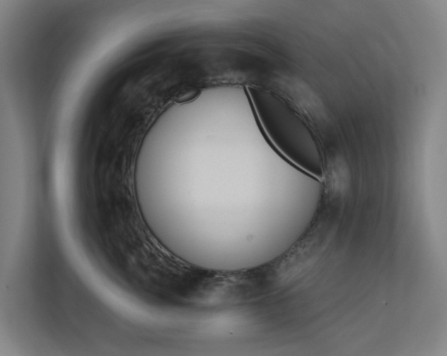 X0000110760764200906221122