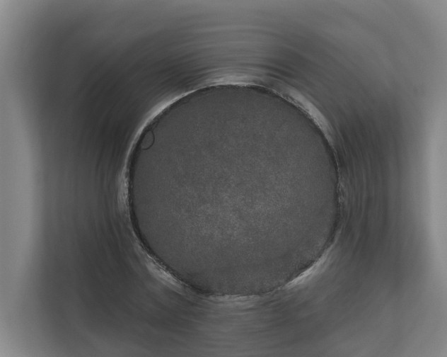 X0000110760779200906221121