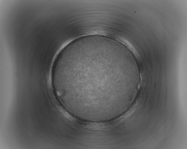 X0000110760780200906221121