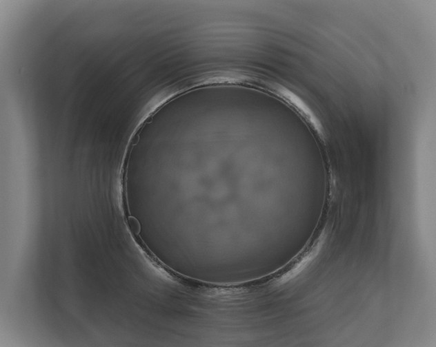 X0000110760802200906221121