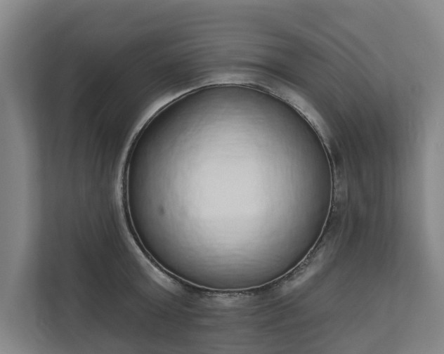 X0000110760803200906221121