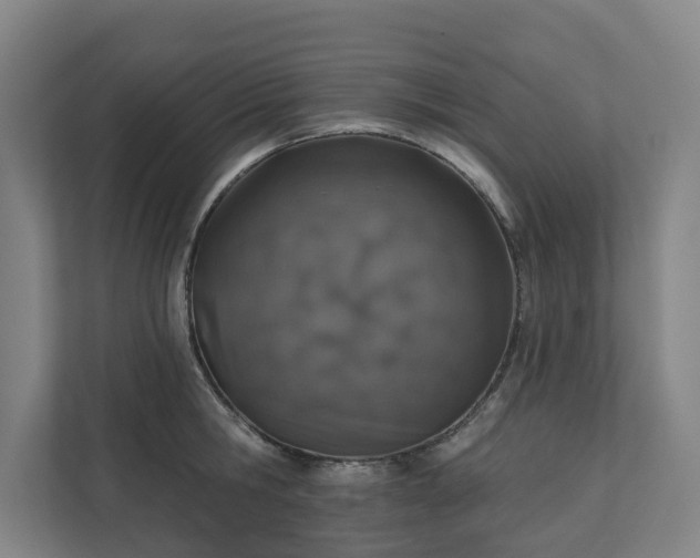 X0000110760806200906221121