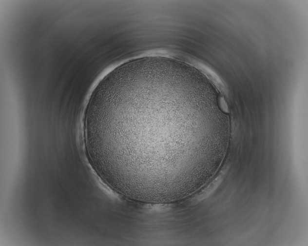 X0000110760808200906221121