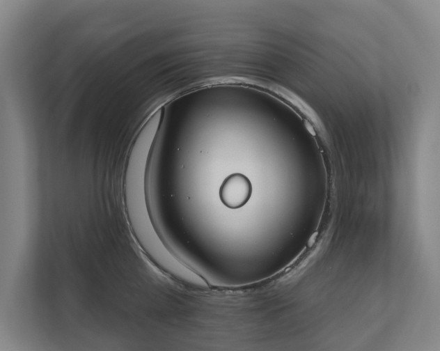 X0000110760809200906221121