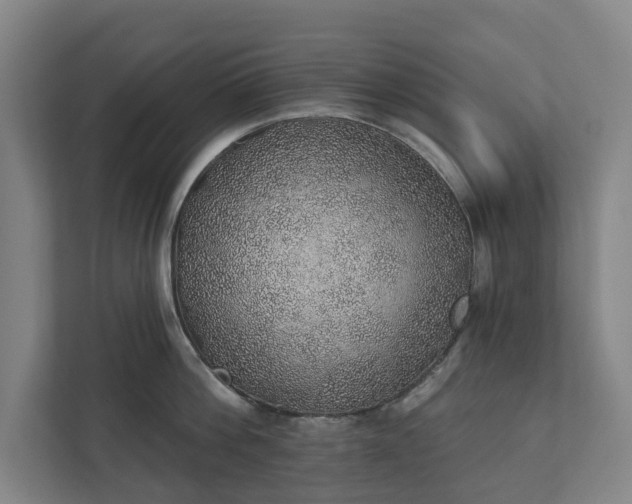X0000110760812200906221121