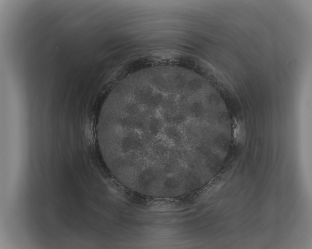 X0000110760819200906221120