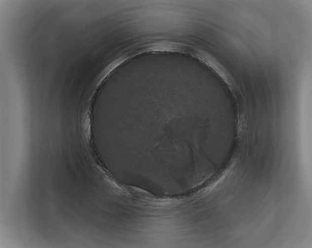 X0000110760829200906221120