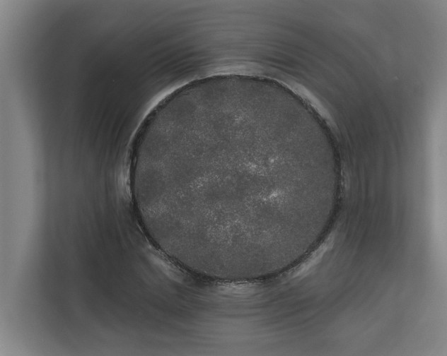 X0000110760830200906221120