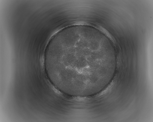 X0000110760831200906221120